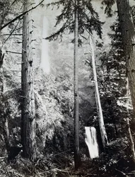 Multnomah Watervallen, Cascades, Columbia River